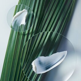 Botanical Repair ™ Intensive Stärkende - Haarmaske Leicht