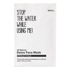 All Natural Parsley Kale Detox Face Mask, Refill Sachet, STOP THE WATER WHILE USING ME!