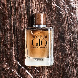Acqua di Giò Homme Absolu Duft