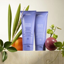 Blonde Revival™ - Purple Toning Conditioner