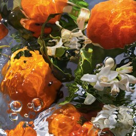 Aqua Allegoria - Mandarine Basilic Eau de Toilette