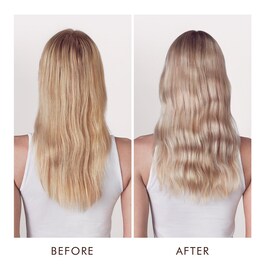Color Care - Blonde Perfecting Purple Shampoo