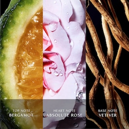 Cool Water Reborn Women - Eau de Toilette