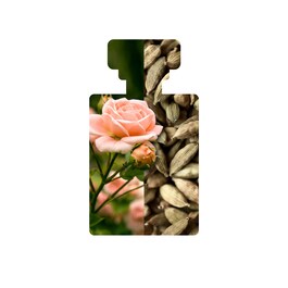 Hosanna Plumping H2O Serum