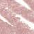 N°16. Nude Beige (1 g)