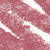 N°6. Rosewood (1 g)