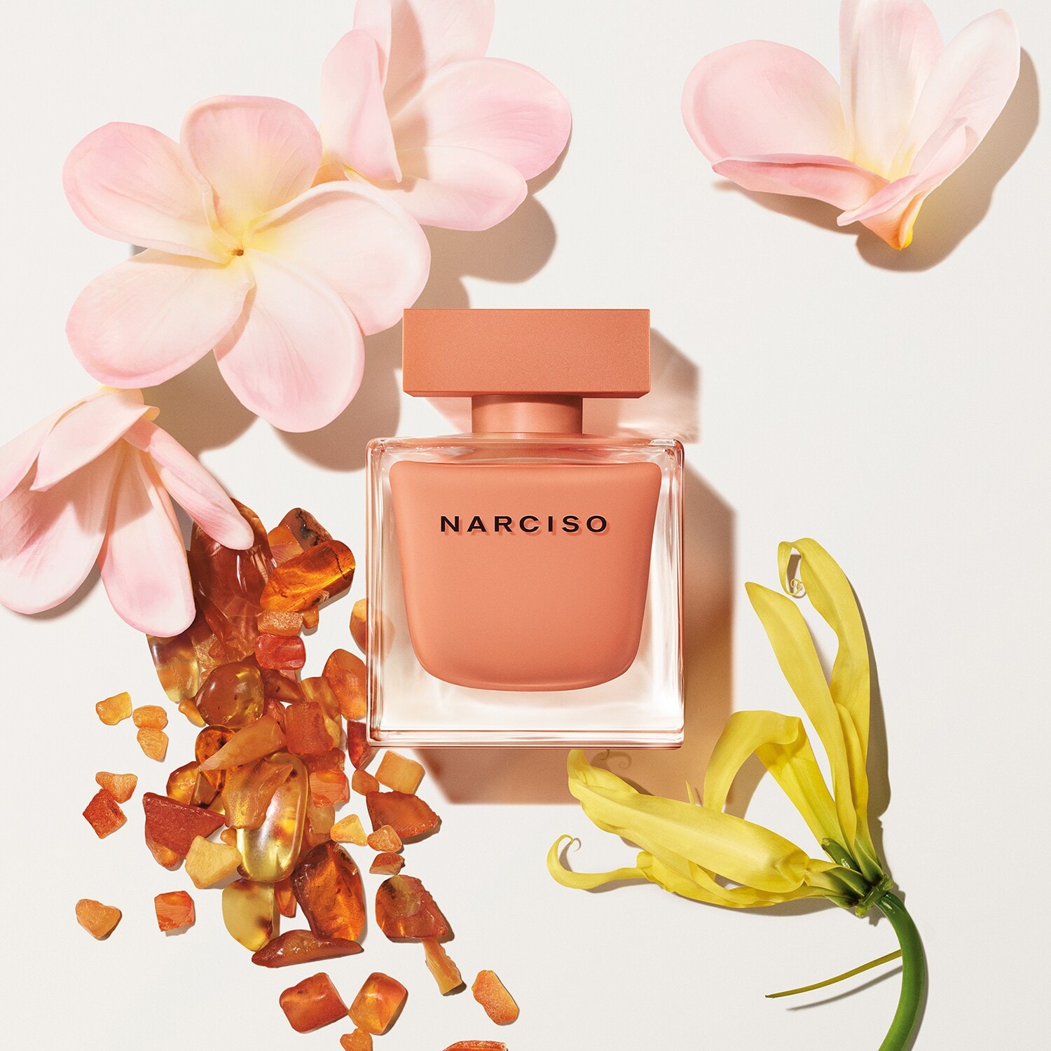 Narciso Ambrée Eau de Parfum von NARCISO RODRIGUEZ ≡ SEPHORA