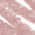 N°16. Nude Beige (1 g)