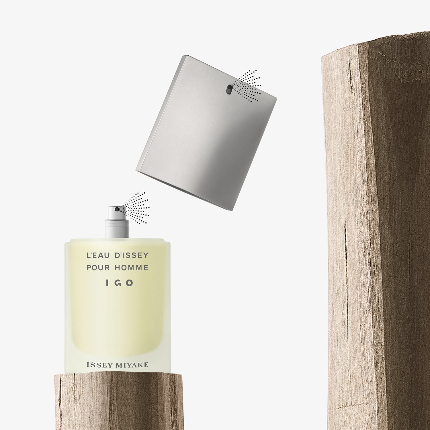 L'Eau D'Issey pour Homme IGO - Würzig-holziges Eau de Toilette von ...